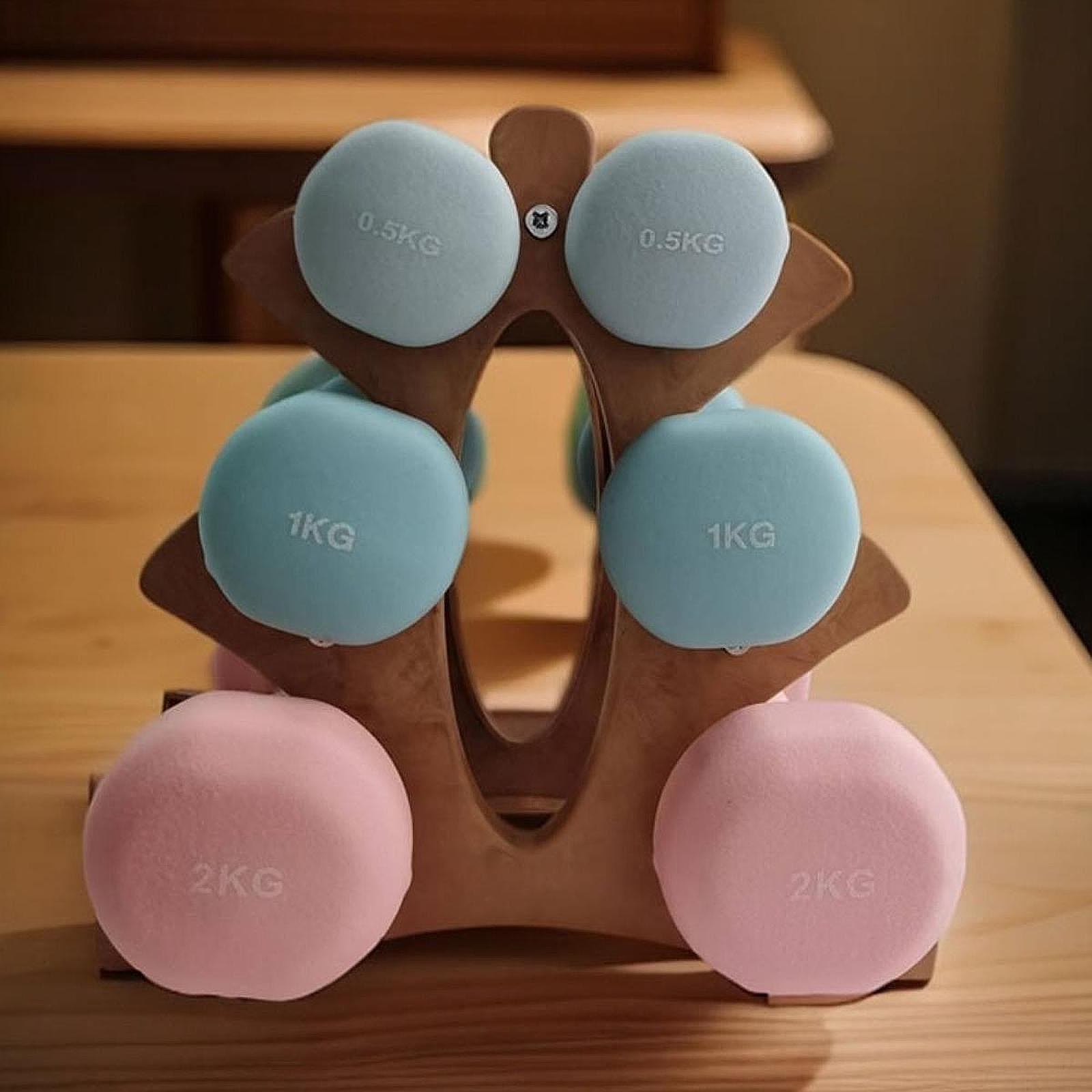 Three Tier Dumbbells Rack Heav - Home Gym Dumbbell Workout recension och pris
