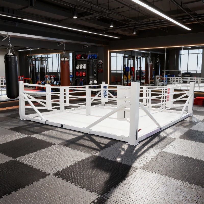 Foldable Gym Boxing Ring Set S - Home Gym Equipment Set recension och pris