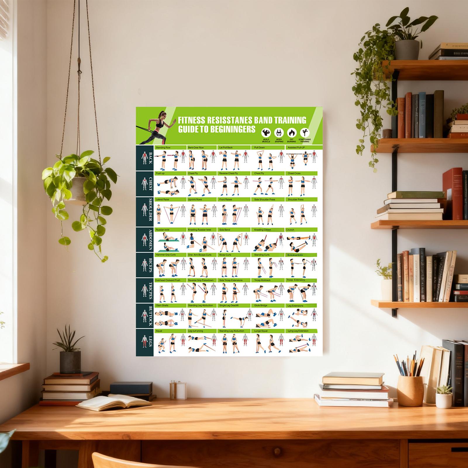 Workout Posters with Resistanc - Home Gym Guide recension och pris