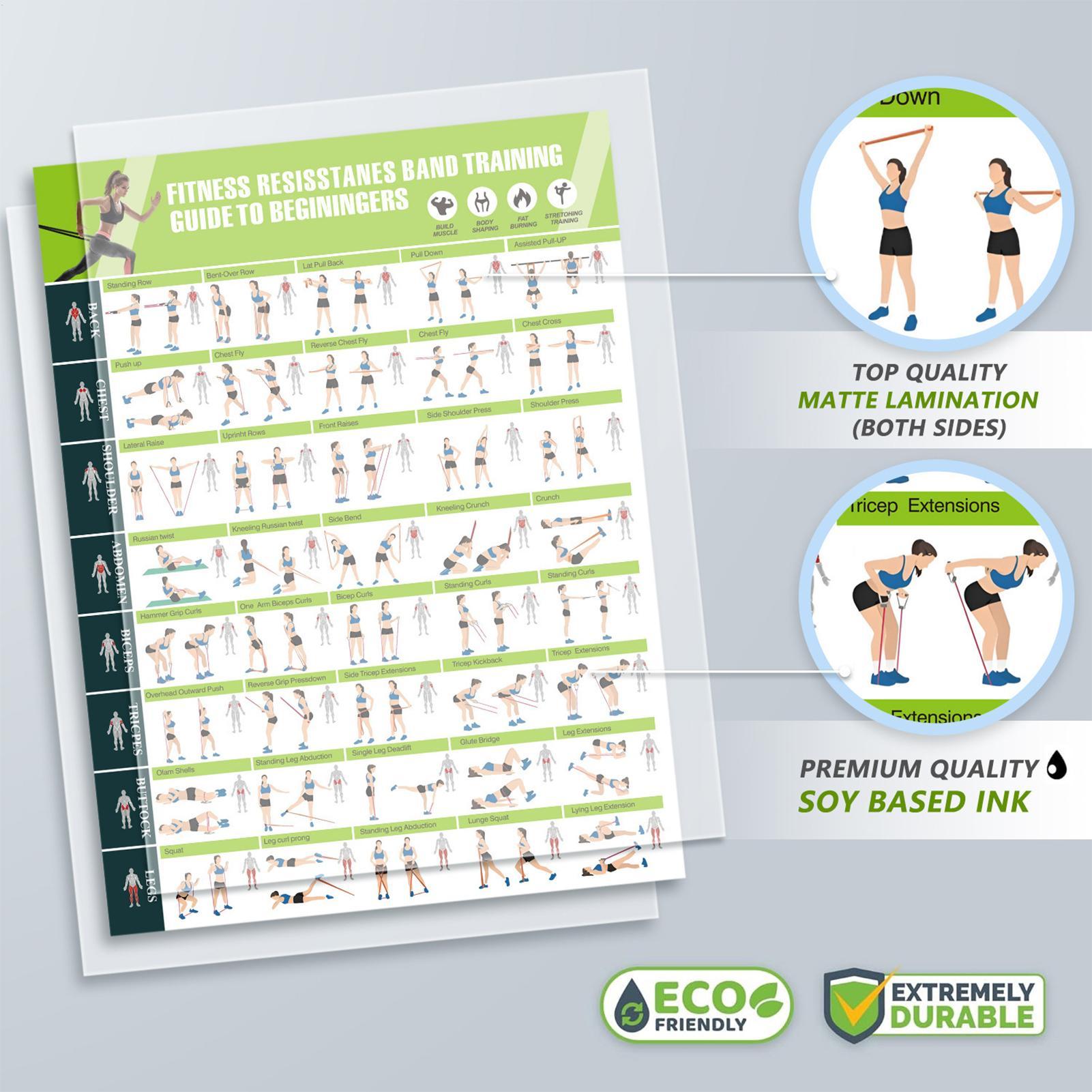 Workout Posters with Resistanc - Home Gym Guide recension och pris