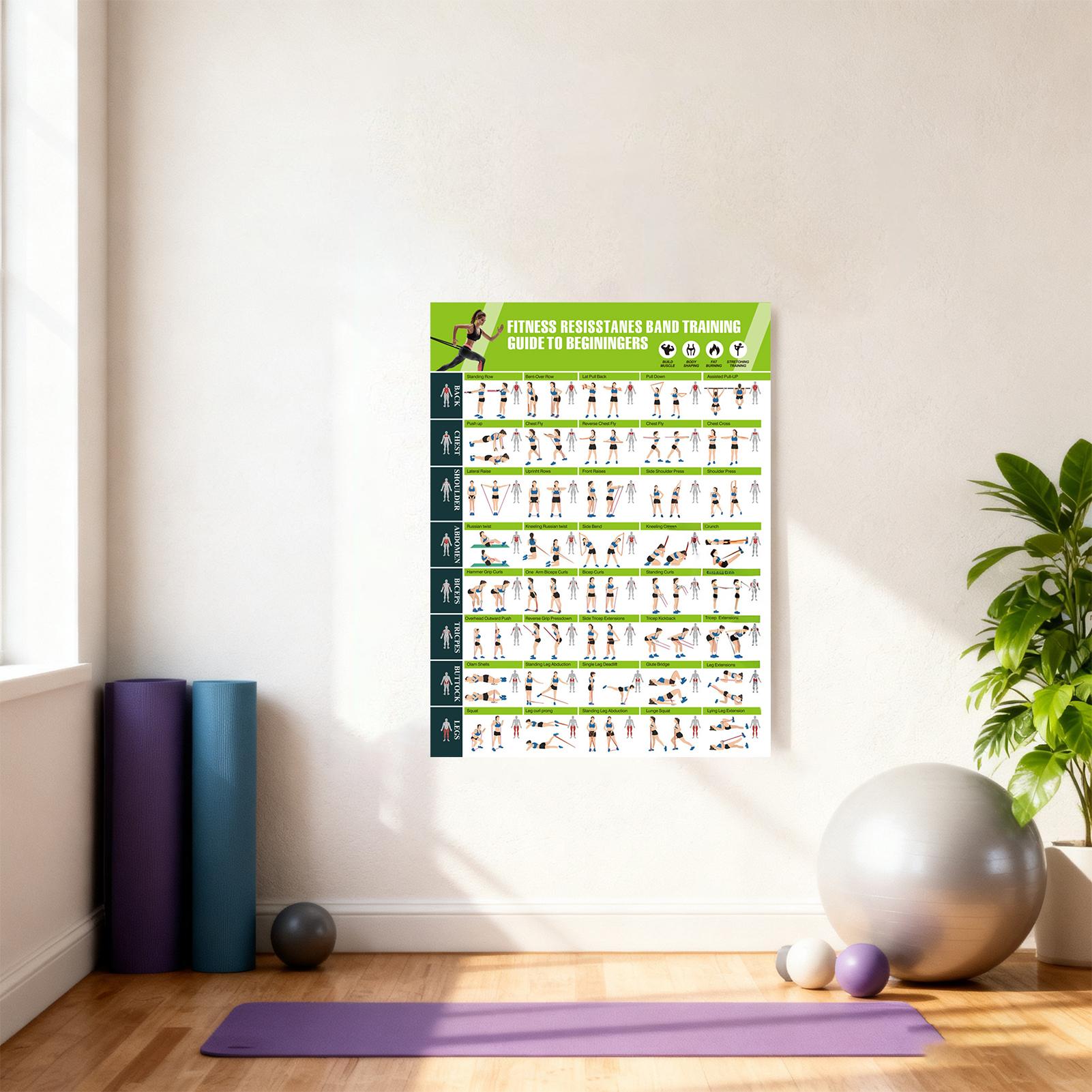 Workout Posters with Resistanc - Home Gym Guide recension och pris