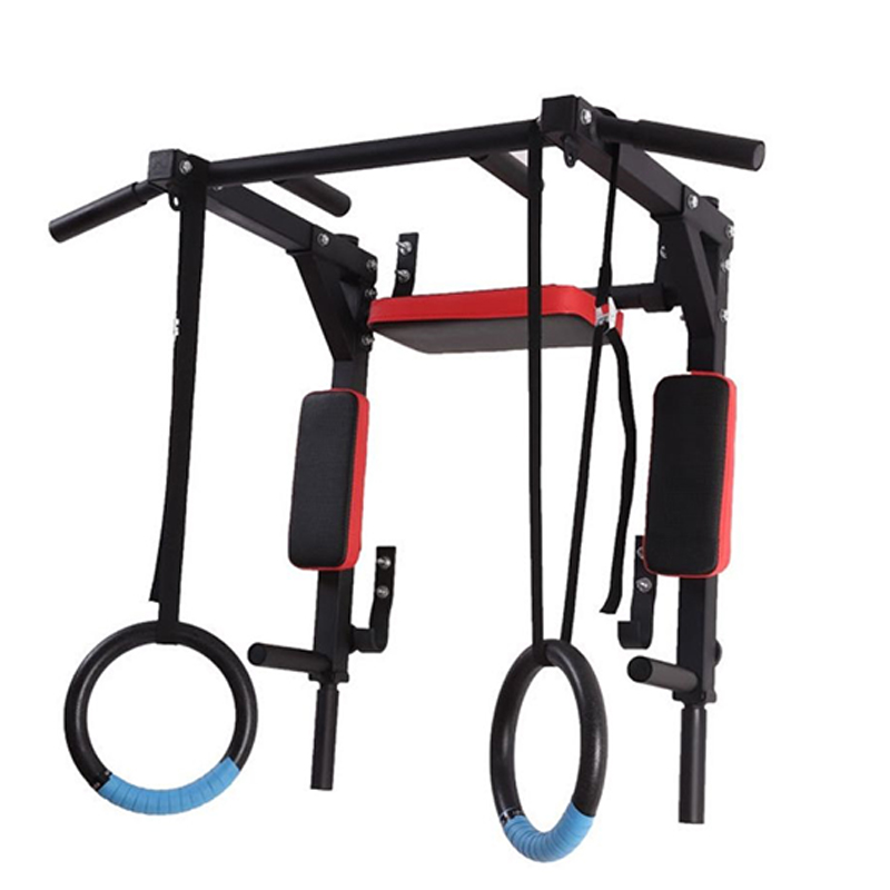 Heavy Duty Wall Mounted Parall - Home Gym Leg recension och pris