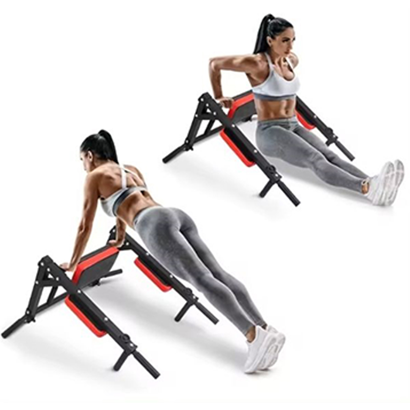 Heavy Duty Wall Mounted Parall - Home Gym Leg recension och pris