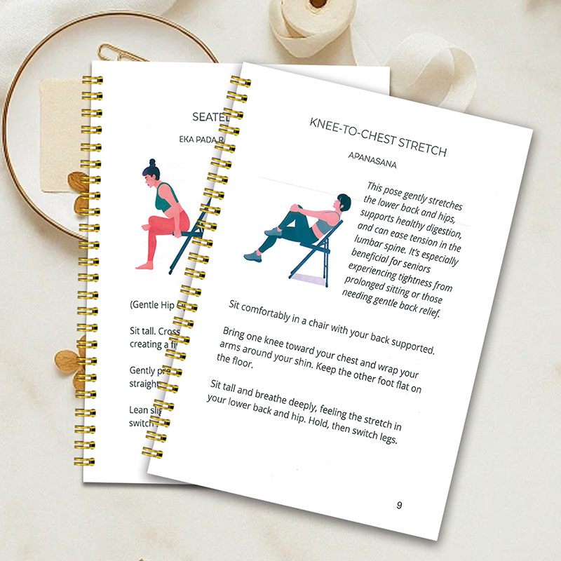 30 Day Chair Yoga Weight Loss  - Home Gym Guide recension och pris