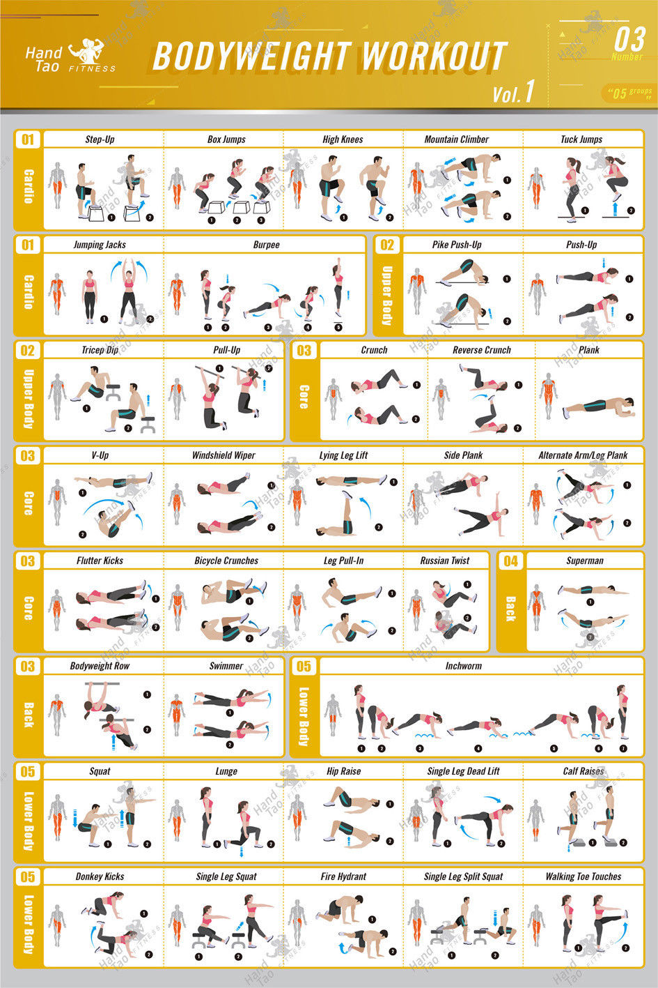 Bodyweight workout Exercise Bo - Home Gym Guide recension och pris
