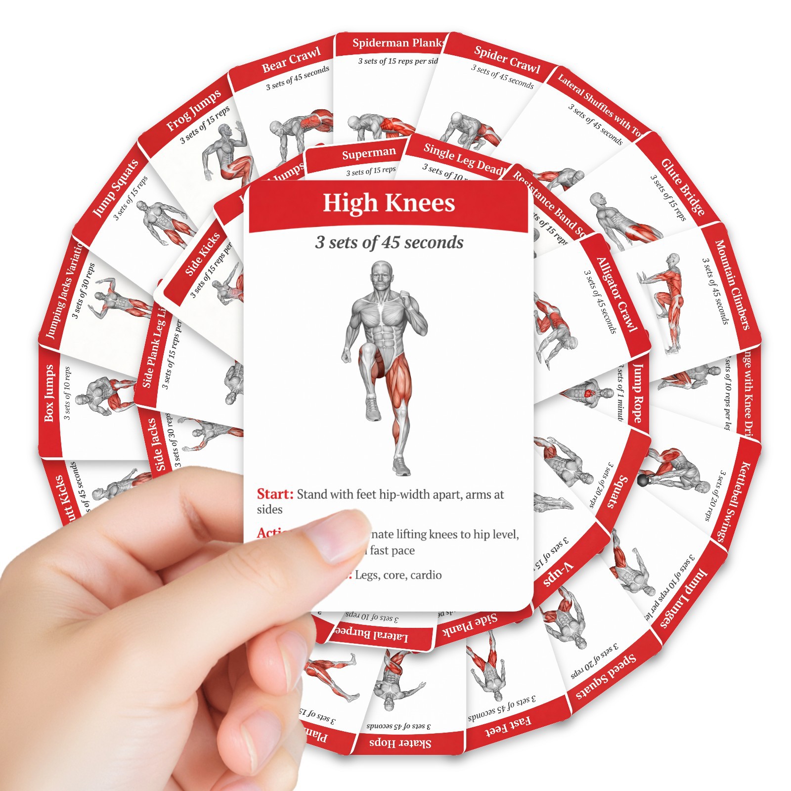 36Pcs Full Body Fat Burning Wo - Home Gym Guide recension och pris